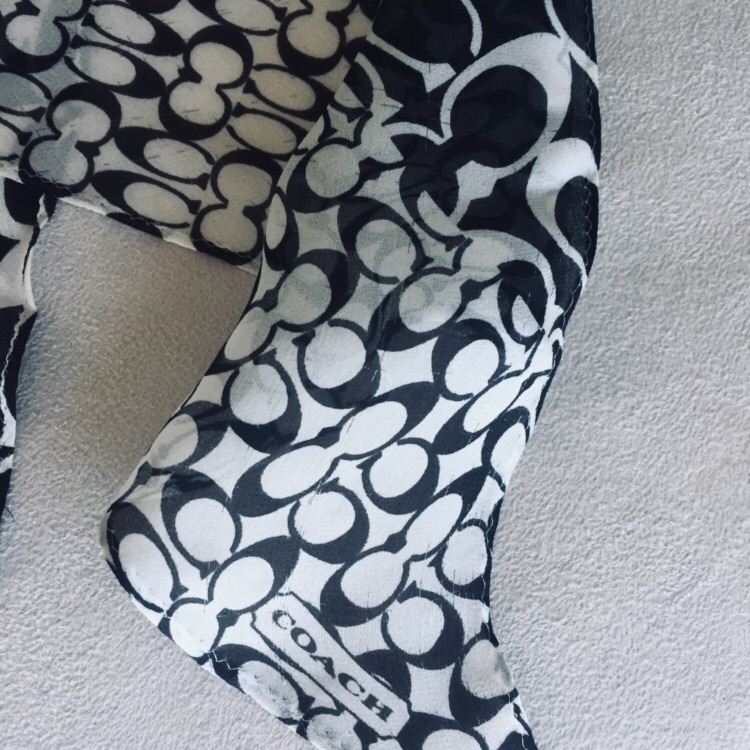 Silk Coach Silk Rectangular Scarf